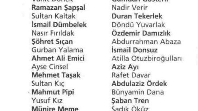 Soyadınız nedir soyadınız dan memnun musunuz?