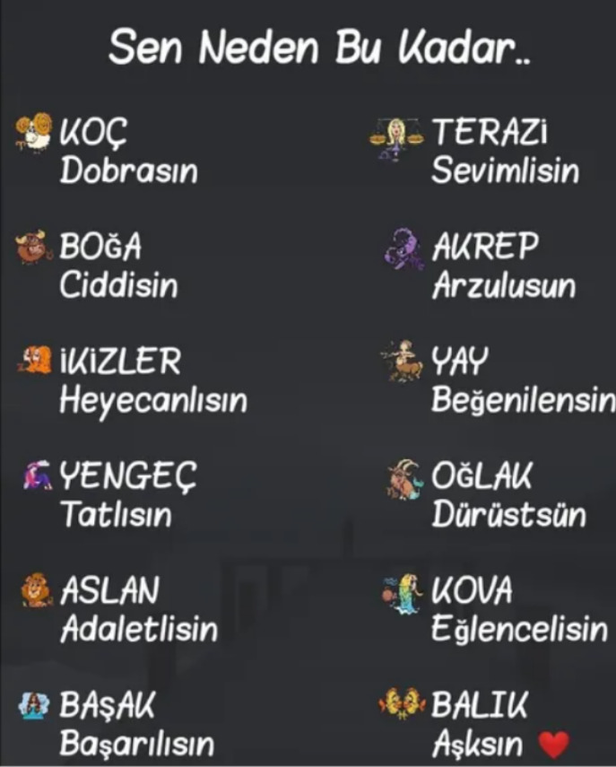Burcun seni tek kelimeyle anlatsa ne derdi?