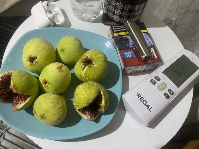 1 kg incir 450 TL şaka gibi