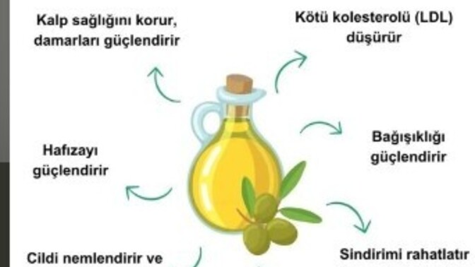 Hangi marka zeytinyağı kullanıyorsunuz?