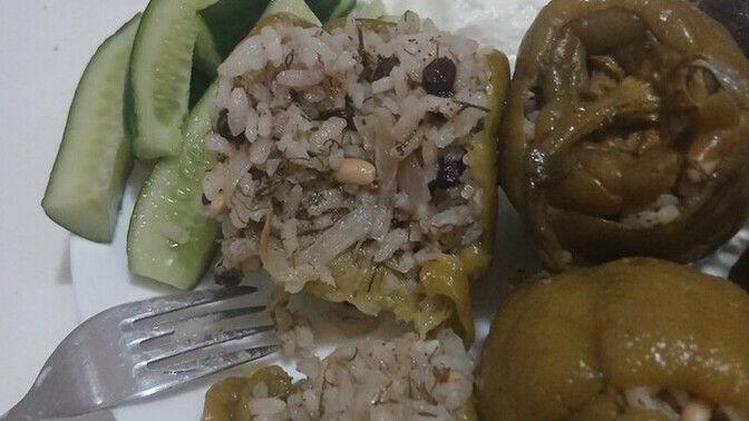 Dünkü bekar akşam yemeğim nasıl olmuş?