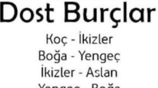 Hangi burç ile gerçekten en iyi dost oluyorsunuz, burç uyumunuz nasıl?