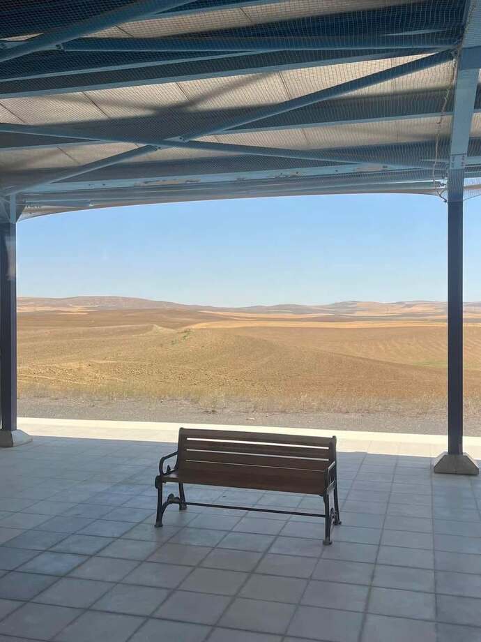Bir anda hamsiye dönüşseniz ilk ne yapardınız?