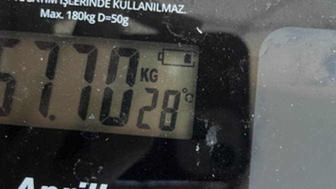22 günde kaç kilo veririm?