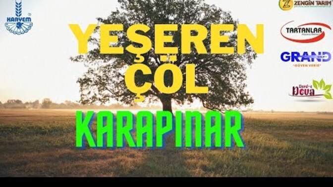 Çöller yeşerdi de sizin hayatınız yeşerdi mi?