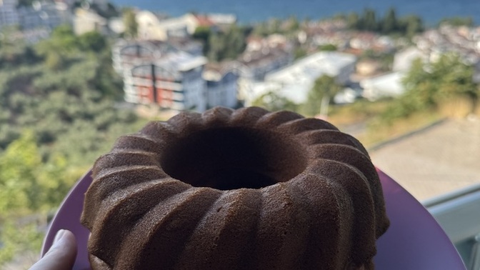 Kekiniz misafir geleceğini anlıyor mu?