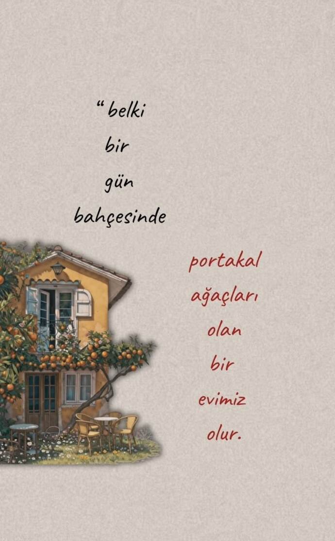 Limon ağaçları da olur 🍋