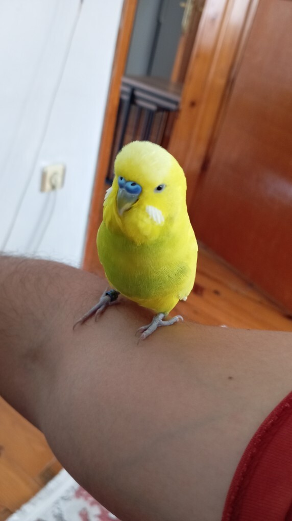 Biriyle tartışırken haklı olsanız bile alttan aldığınız olur mu?