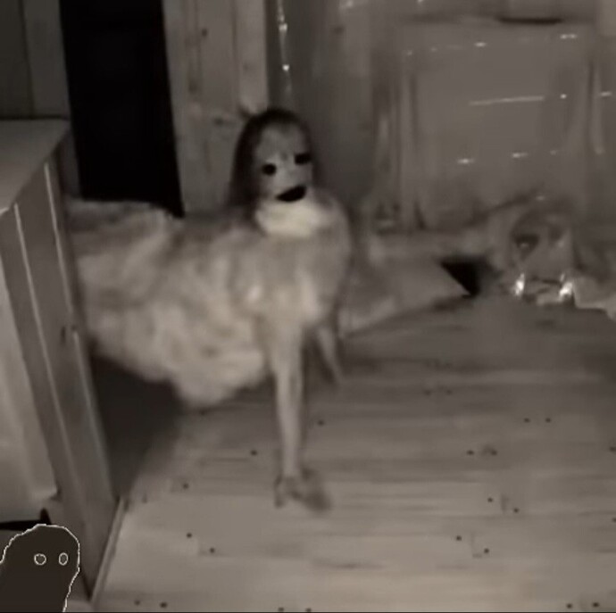 Gece karşınıza böyle bir şey çıksa ne yapardınız?