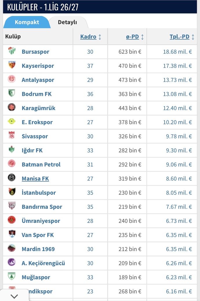 Bursaspor üst lige çıkar mı?
