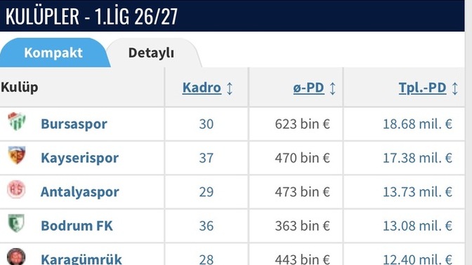Bursaspor üst lige çıkar mı?