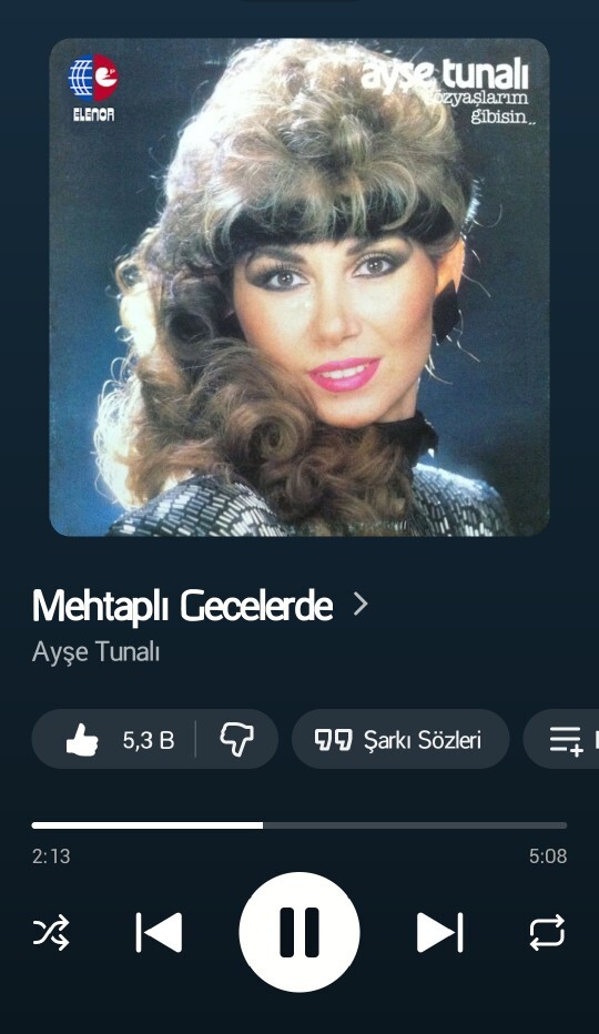 Musiki müzik sever misin?
