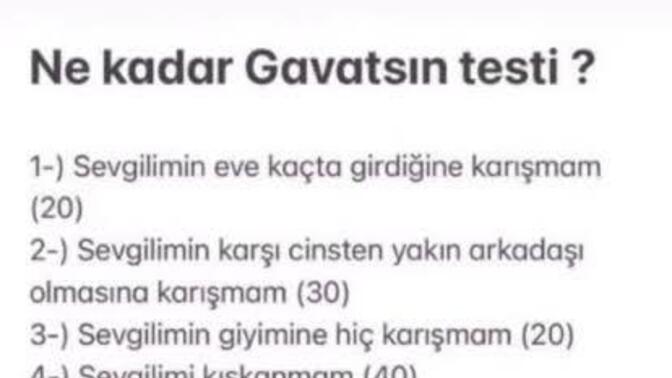 Kaç puan aldınız?