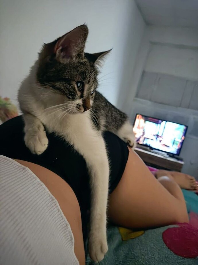 Günaydın Günaydınnnn?