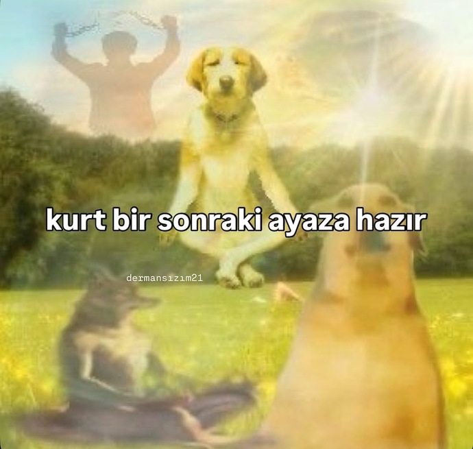 Bir sonraki ayaza hazır mısınız?