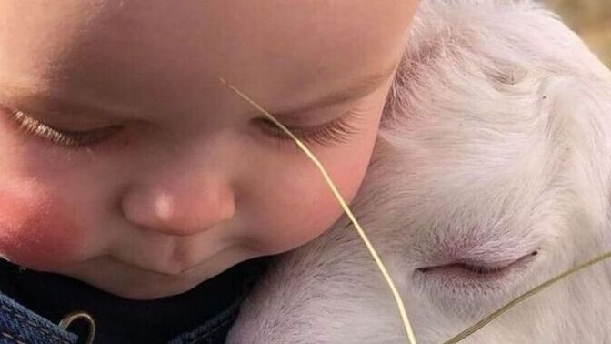 Gururun mu önce gelir yoksa aşkın mı?