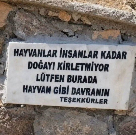 Hayvan mısın, insan mı?
