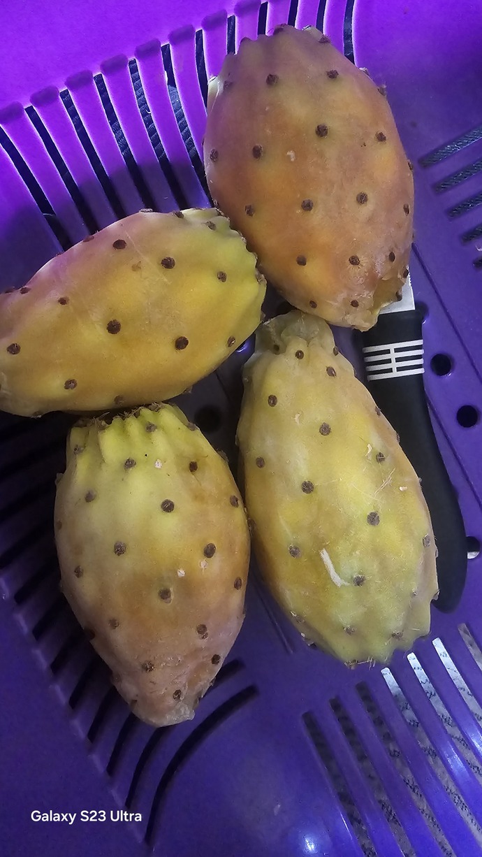 Bu meyvenin, adını bilebilecek var mı?