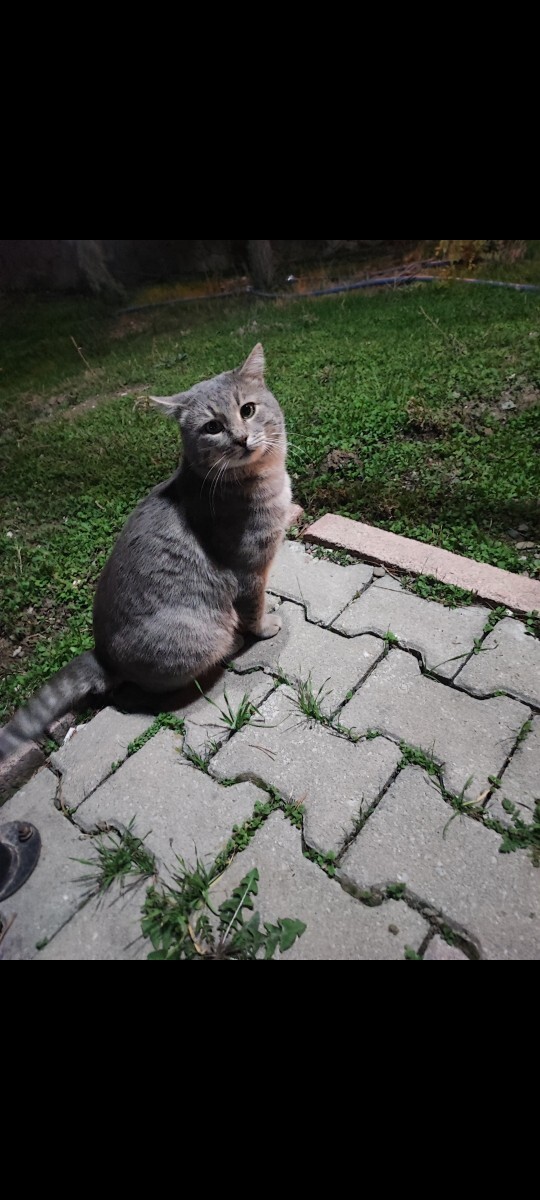 Nasıl geçti pazarıniz yarın iş var ne hissediyorsunuz mutlu musunuz?