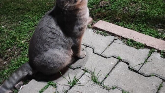 Nasıl geçti pazarıniz yarın iş var ne hissediyorsunuz mutlu musunuz?