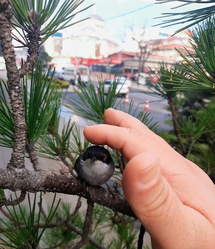 Hiç birini istemeden korkuttunuz mu🥺?