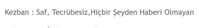 Sizi en iyi tanimlayan kelime neee?