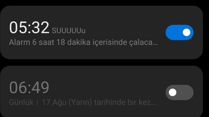 Alarmınız kaça kurulu?