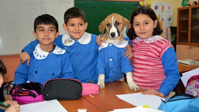 İlkokul sıra arkadaşını hatırlıyor musun?