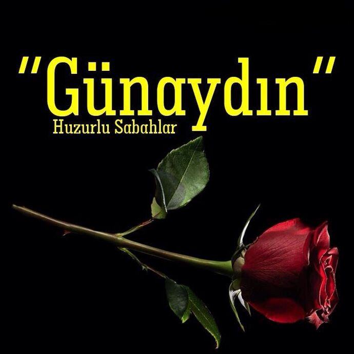 Herkese günaydın, nasılsınız bugün neler yapıyorsunuz?