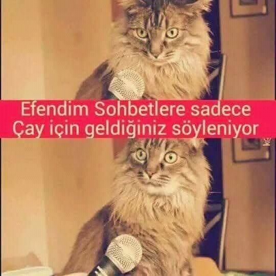 Çay için mi sohbete gidersin & sohbet için mi çaya gidersin ☕️?