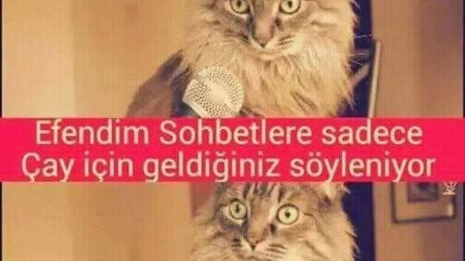 Çay için mi sohbete gidersin & sohbet için mi çaya gidersin ☕️?
