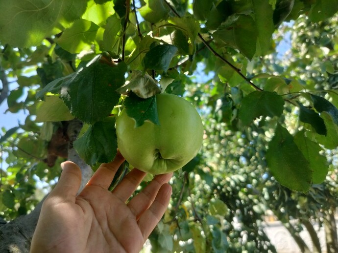 Bugün ne yediniz?