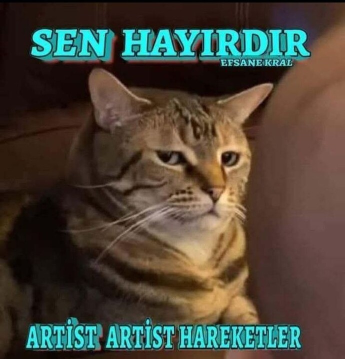 Sitede dayılandığınız biri var mı?