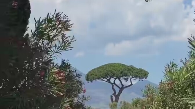 Gerçekten bağ kurduğumuz her şeye dokunmalı mıyız?