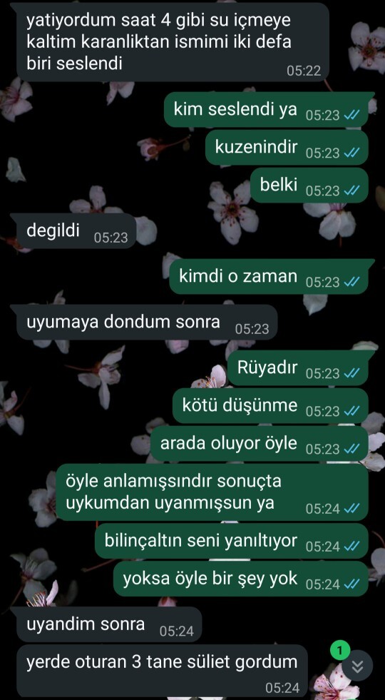 Sevgilim hep cinlerden bahsediyor artık korkuyorum napmalıyım ya psikolojim bozuldu?