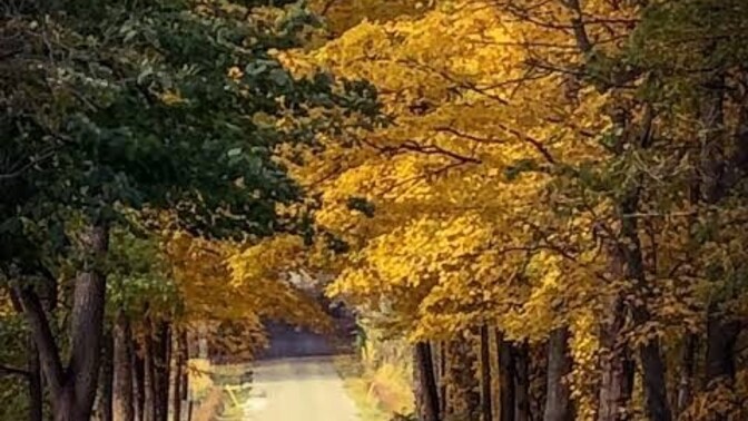 Hayat bize istediğimiz yolu mu gösterir, yoksa yürüdüğümüz yolu zamanla ‘doğru yol’ olduğuna mı inandırır?