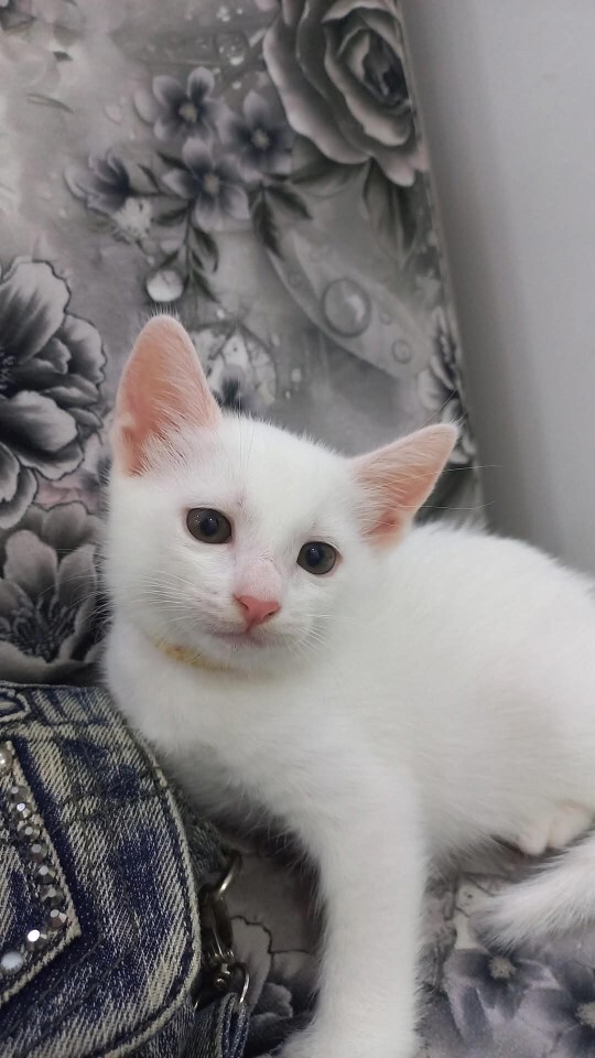 Şu çocuğa farklı bi isim bulurmusunuz?