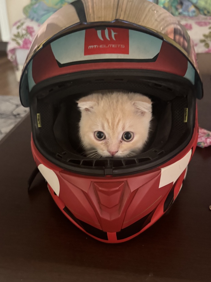 Motorcu erkeklerden çok hoşlanmam normal mi?