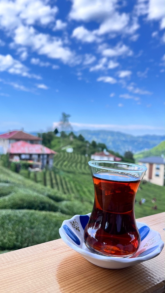 Bir insanın karakterini anlamak için ona hangi tek soruyu sorardınız?