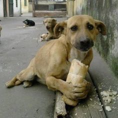 Duydum ki biriniz beni yemeğe davet edecek kim o?