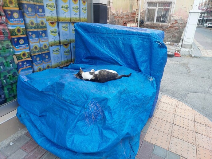 Çok tatlısın demek istediğiniz birisi var mı?
