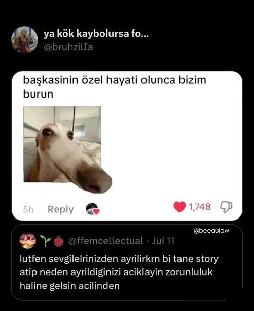 Normal bir insan olduğunuzu düşünüyor musunuz?