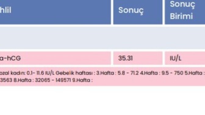 İki çizgi silik çıktı, kan testi belirsiz dedi; bu durumda hamile miyim, folik asit kullanmak sorun olur mu?