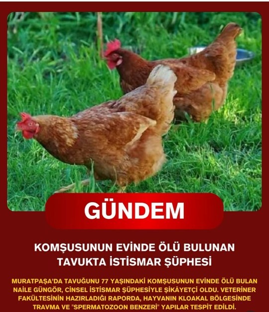 İnsanlar neden bu kadar kötü, kötülüğün psikolojik ve toplumsal sebebi ne?