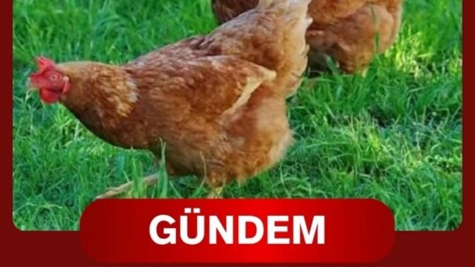 İnsanlar neden bu kadar kötü, kötülüğün psikolojik ve toplumsal sebebi ne?