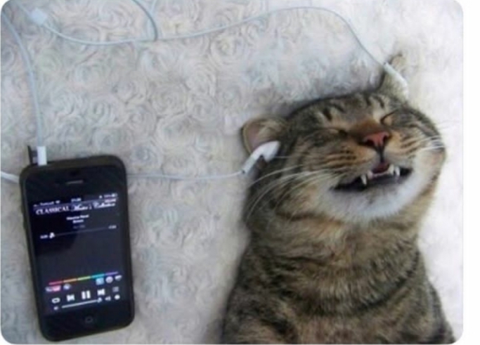 Sizce insanın müzik zevki, karakterini ele verir mi?