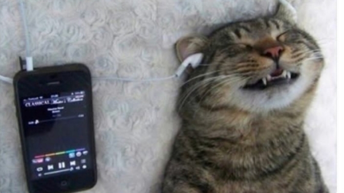 Sizce insanın müzik zevki, karakterini ele verir mi?