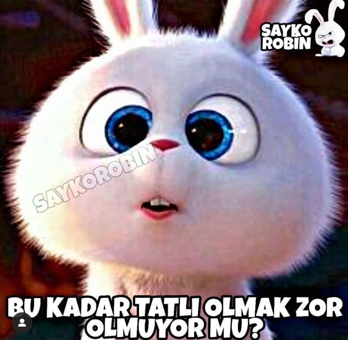 Ne olursa siteyi kullanmayı bırakırdınız?