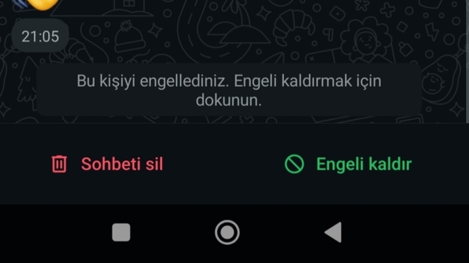 Konuştuğun biri var mı dedim iki flörtünün SS ini attı bende instadan engelleyince tribe girdi ben mi yanlışım?