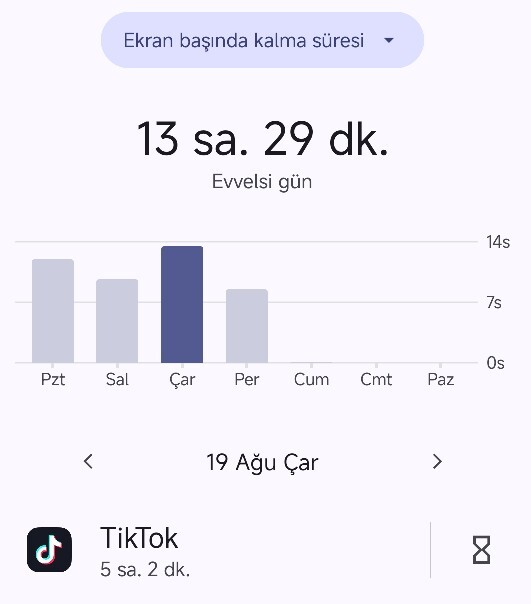 Ekran surenız kac?
